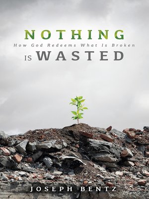 cover image of Nothing Is Wasted